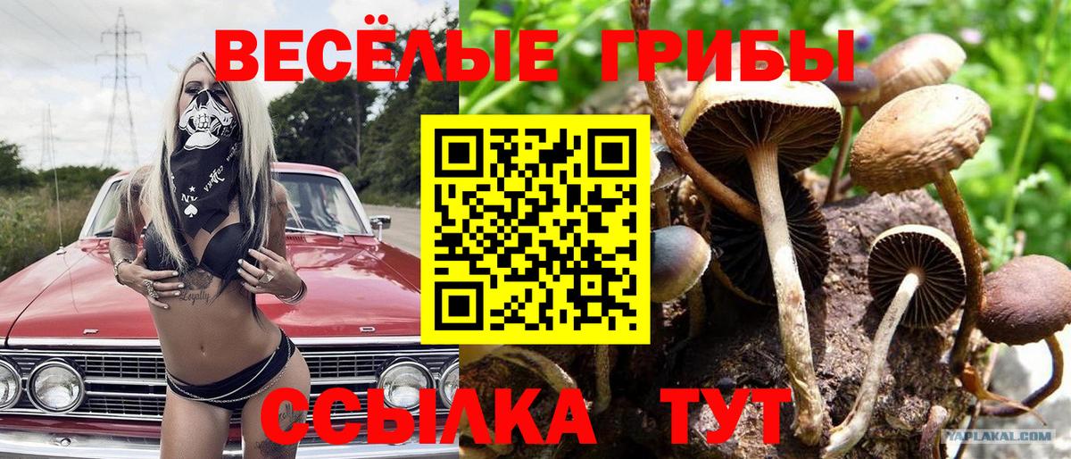 Псилоцибиновые грибы ЛСД Клинцы
