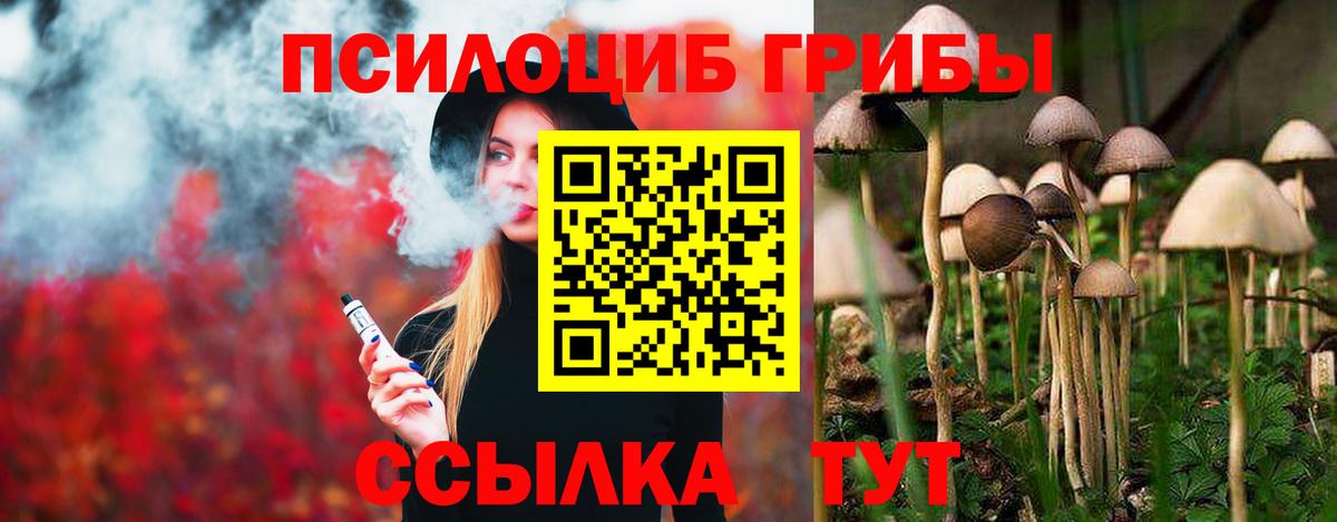 Клинцы  Галлюциногенные грибы ЛСД  Вход с VPN 